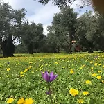 Otel Emel Güzelçamlı