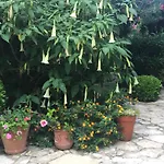 Emel * Güzelçamlı