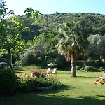 Emel Güzelçamlı