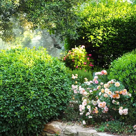 Emel * Гюзельчамли