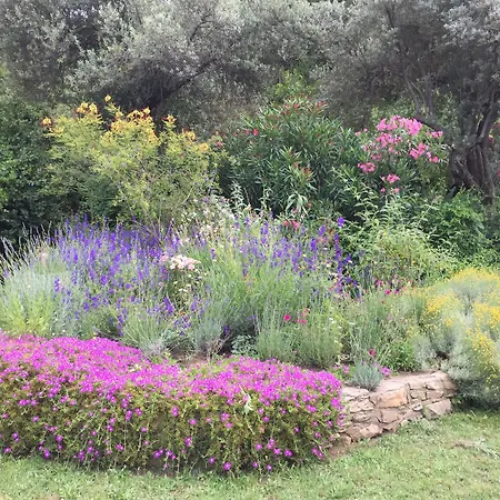 Отель Emel Гюзельчамли