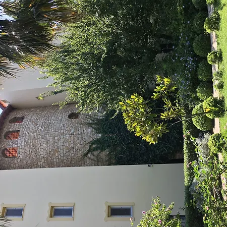 Emel Гюзельчамли