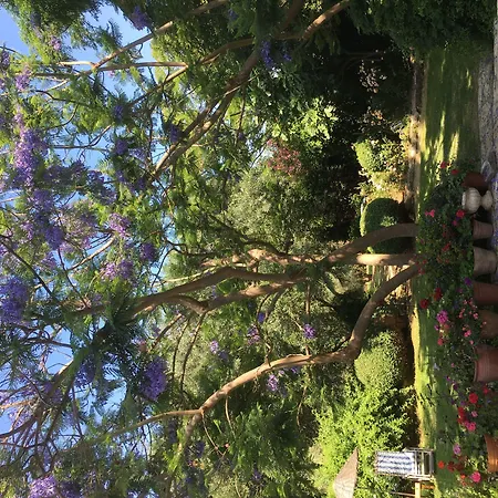 Emel * Гюзельчамли