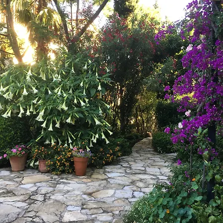 Emel * Гюзельчамли