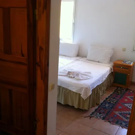 Emel Гюзельчамли