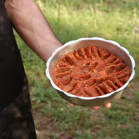 Emel Гюзельчамли