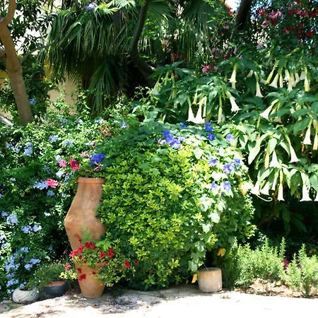 Emel מלון Guzelcamlı