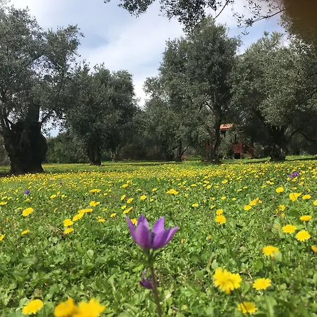 מלון Emel Guzelcamlı